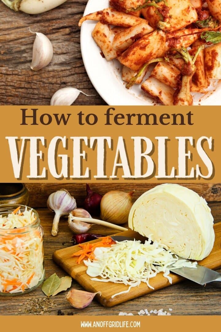 How to ferment vegetables.