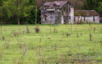 Homestead and Pastureland
