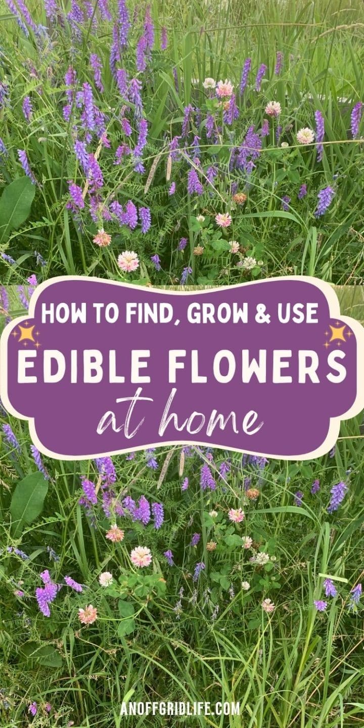 Field of green grass and wildflowers, with text overlay: "How to Find, Grow & Use Edible Flowers at Home." Website URL at the bottom.