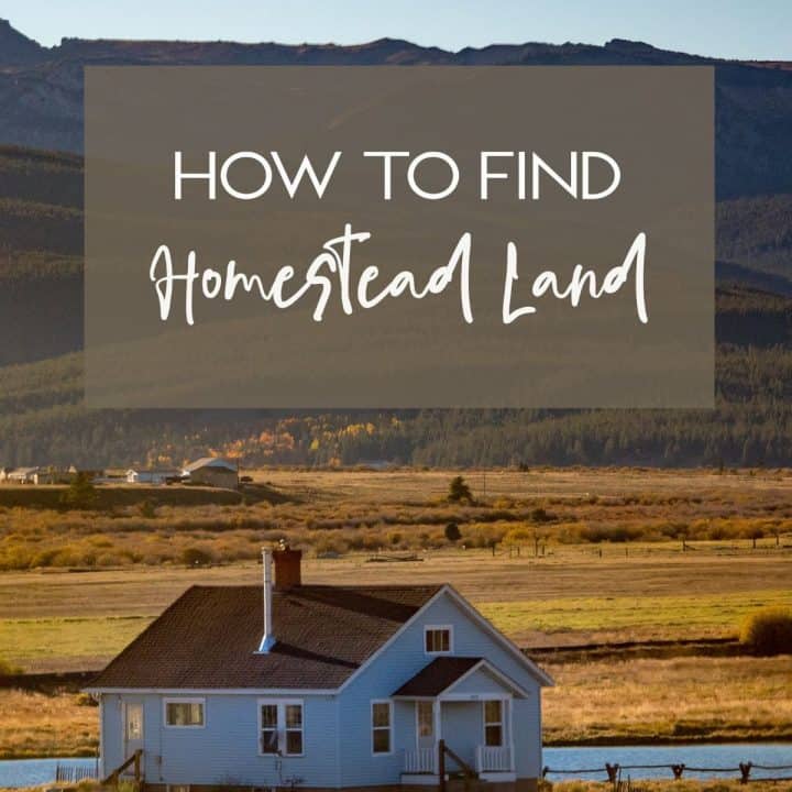 How to Find Homestead Land