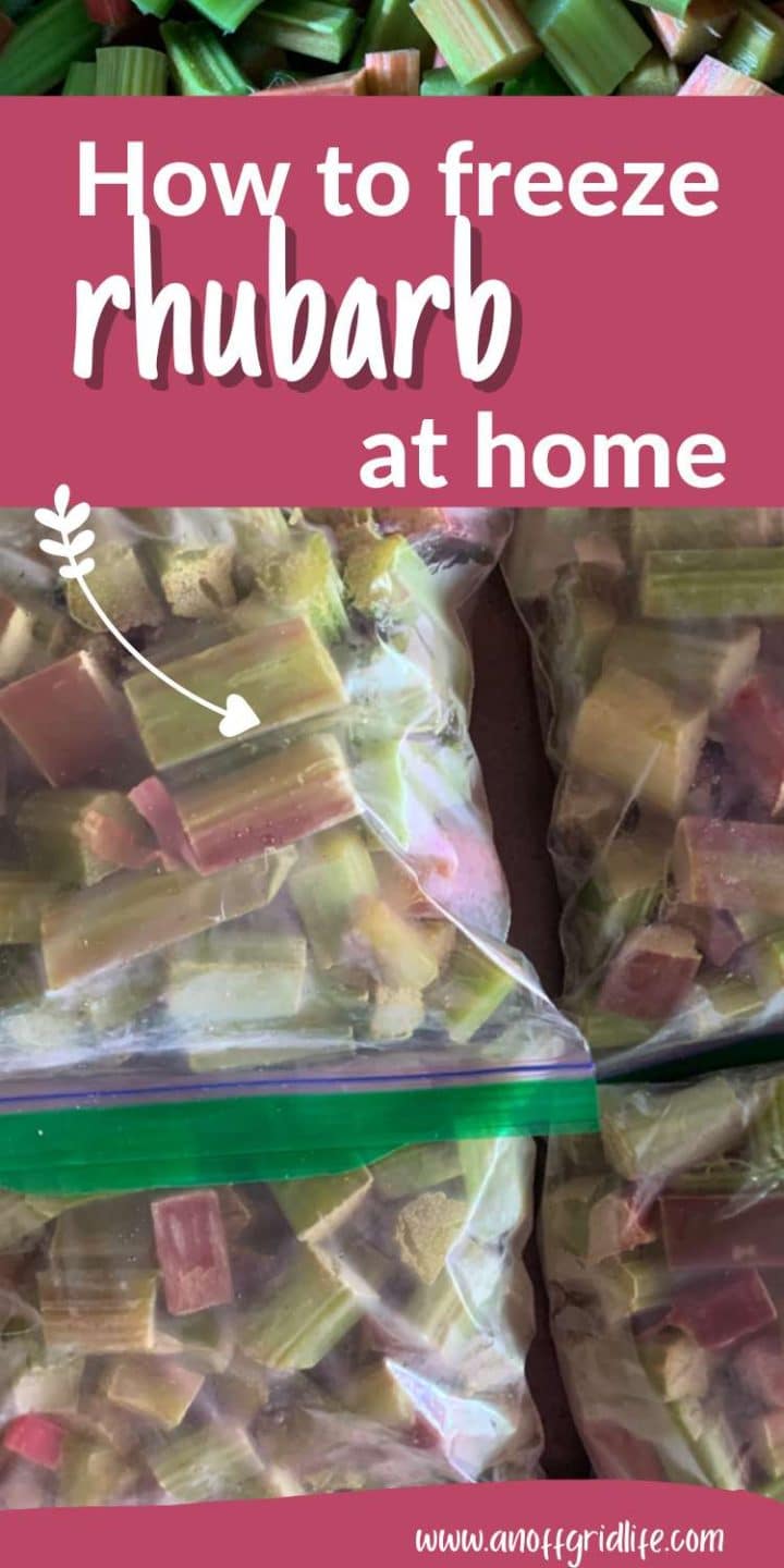 Plastic bags filled with chopped rhubarb, captioned "how to freeze rhubarb at home" with a website link at the bottom.