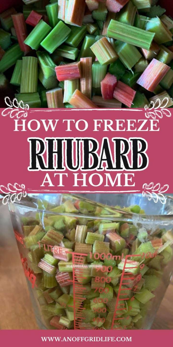Image depicting chopped rhubarb in a measuring cup with text overlay "how to freeze rhubarb at home" from the website anoffgridlife.
