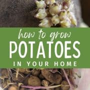 Pinterest Hidden Image