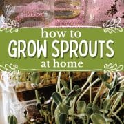 Pinterest Hidden Image