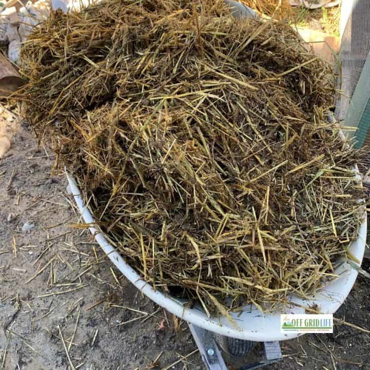 How to Hot Compost with Carbon and Nitrogen-Rich Waste