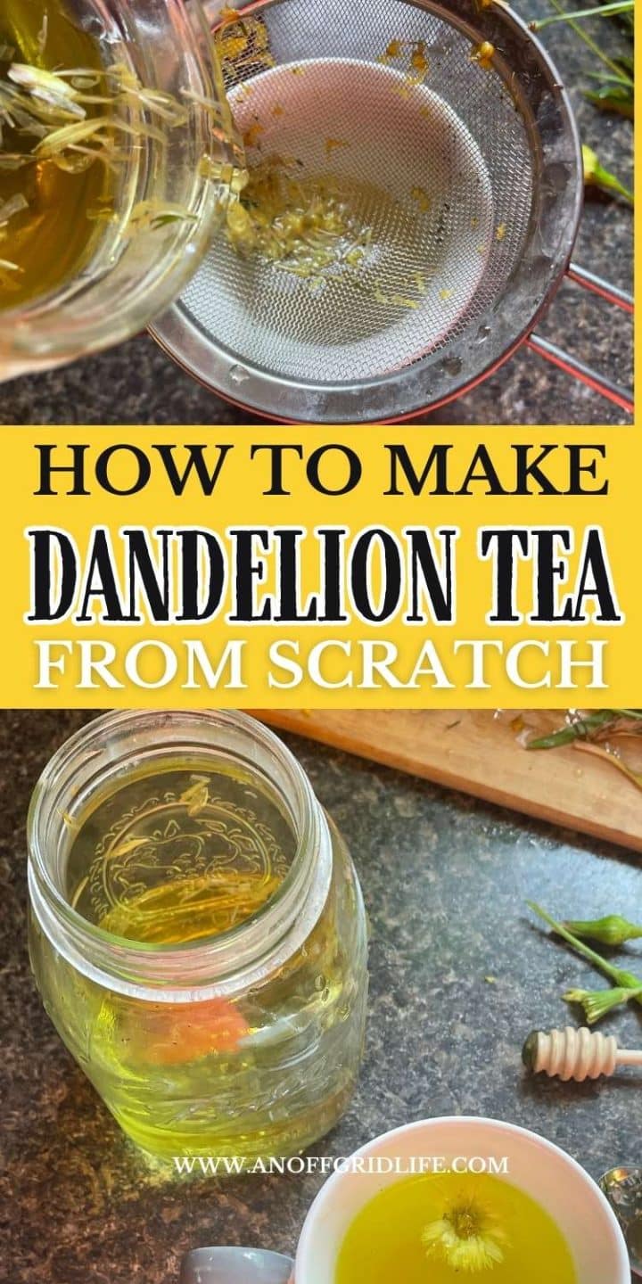 How to make dandelion tea from scratch.