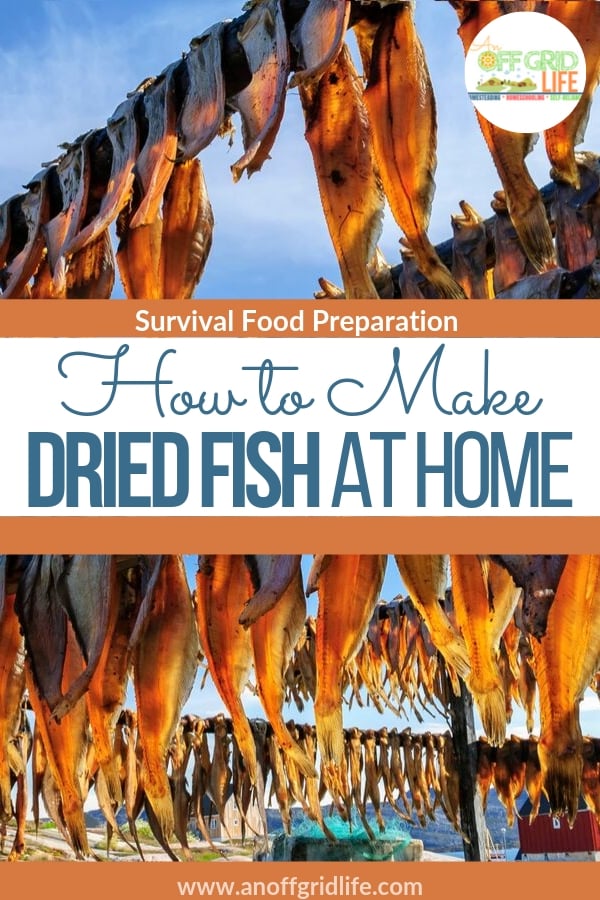 How to Make Dried Fish at Home