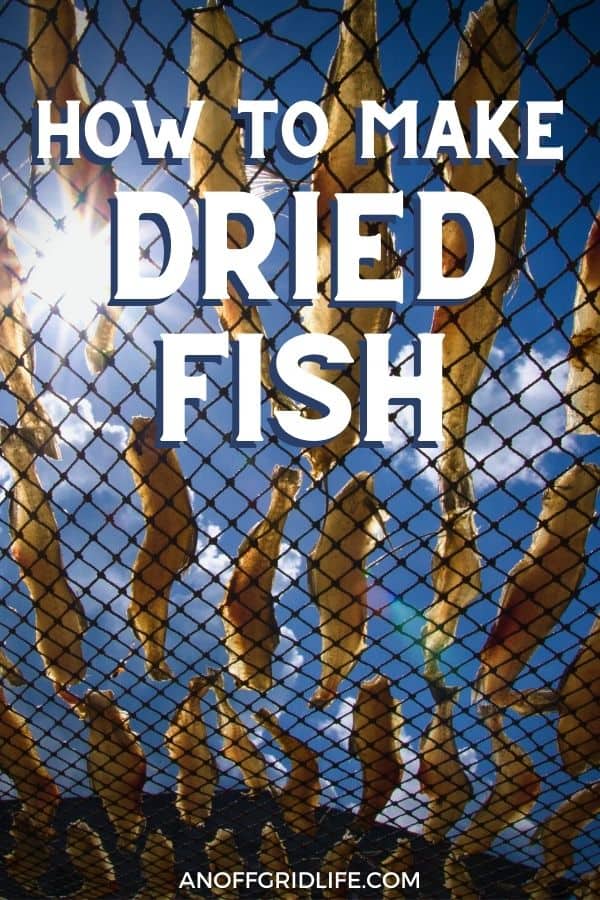 a pinterest image of dried fish on a grate with a blue sky background, text overlay "how to make dried fish"