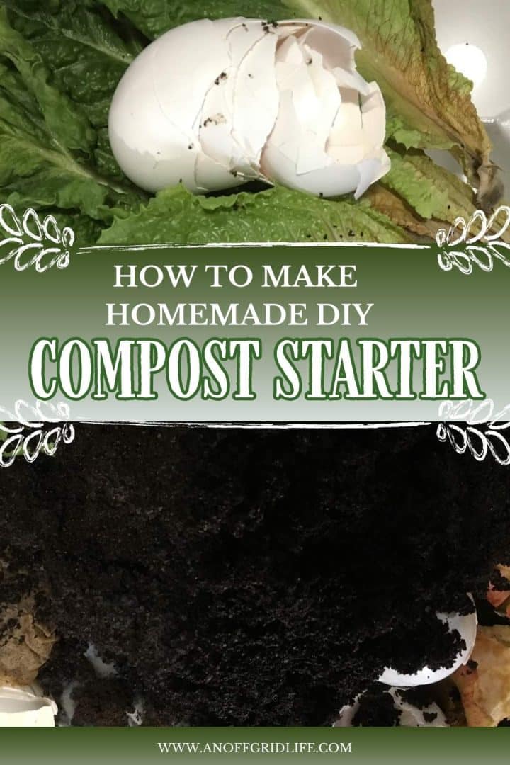 Eggshell and lettuce atop soil with text: "How to Make Homemade DIY Compost Starter" and a URL at the bottom.