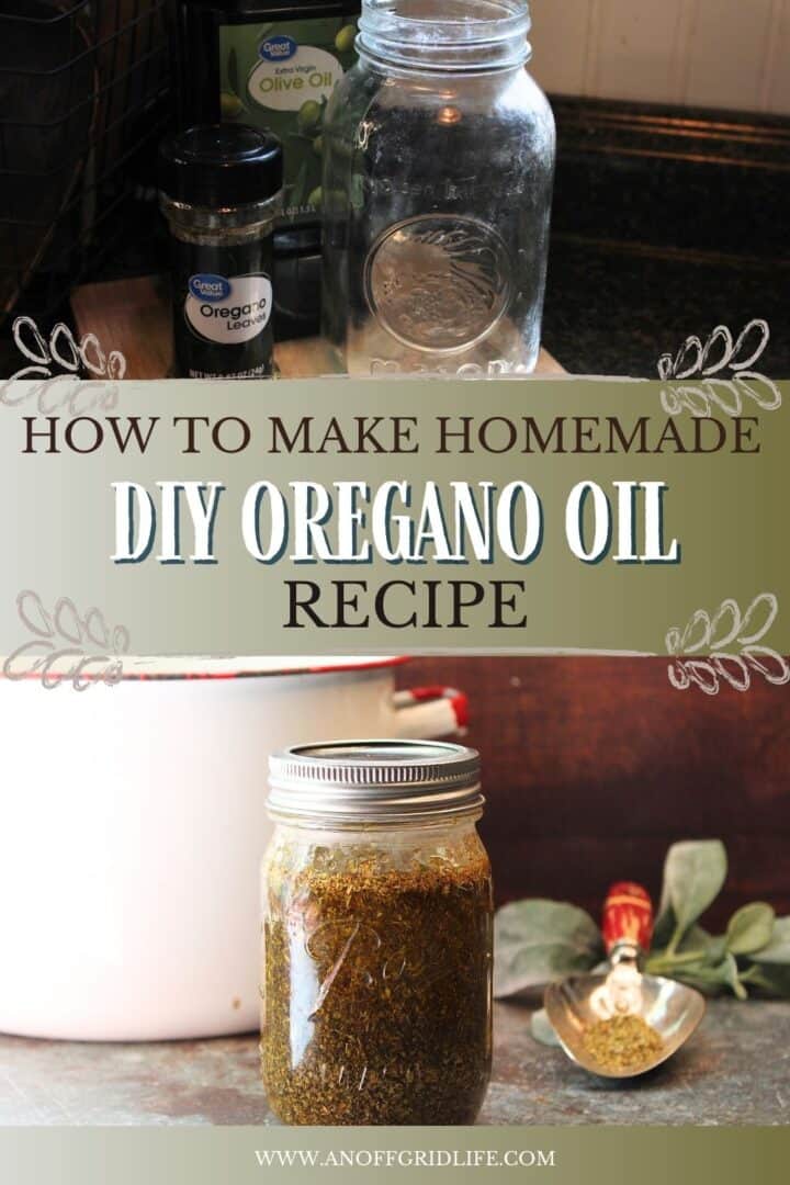 Learn How to Make Homemade DIY Oregano Oil Recipe