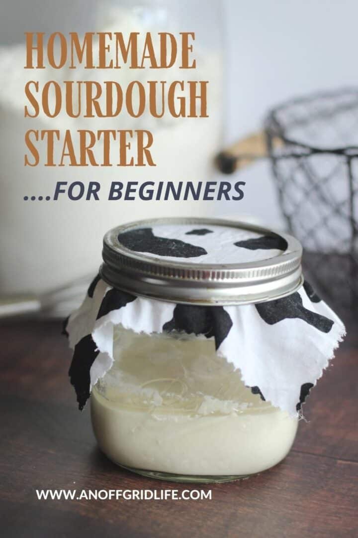 How to Make Homemade Sourdough Starter for Beginners text overlay on image of sourdough starter in jar.