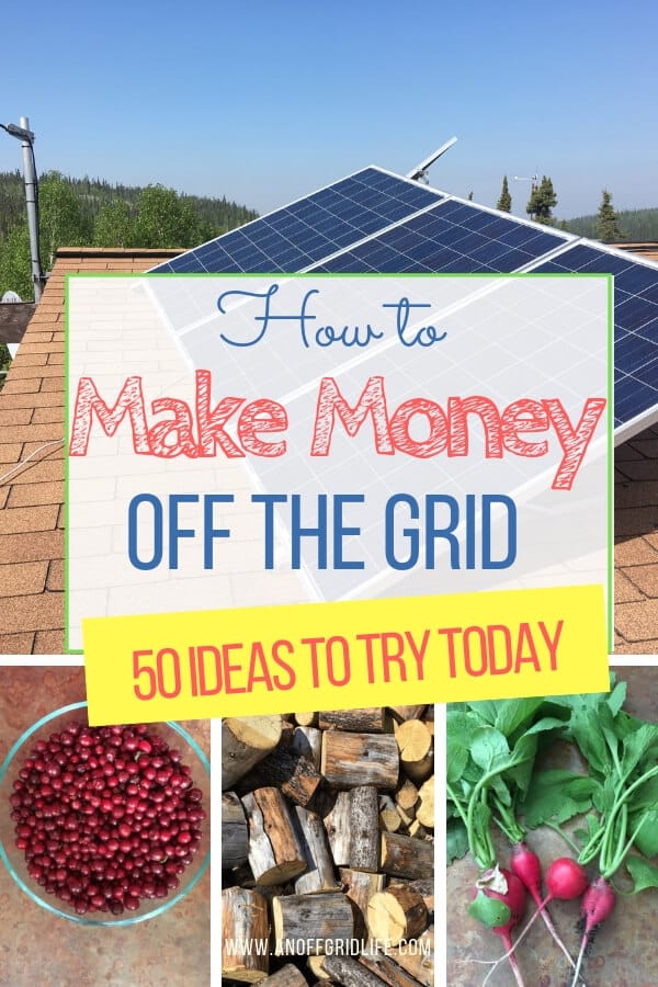 How to Make Money Off The Grid: 50 Ideas to Try Today