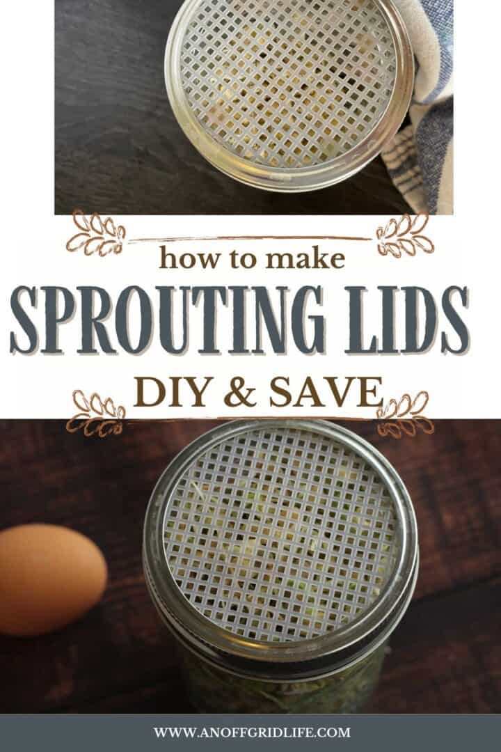 How to Make Sprouting Lids DIY & Save text on image of jars with sprouting lids.
