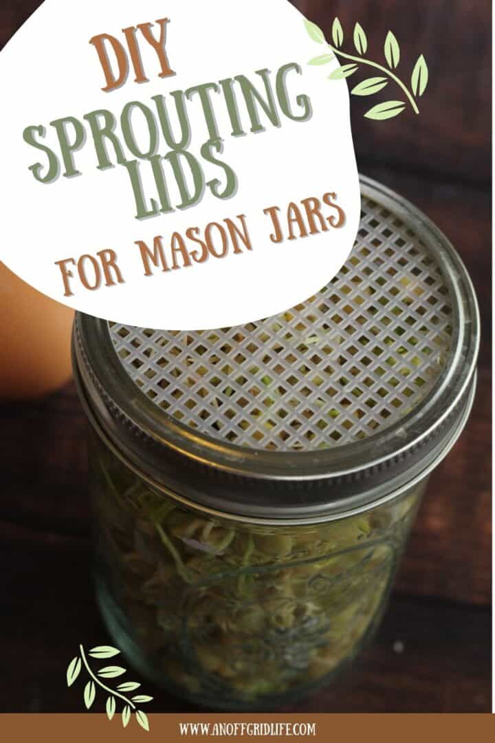 How to Make Sprouting Lids for Mason Jars text overlay on image of jar.