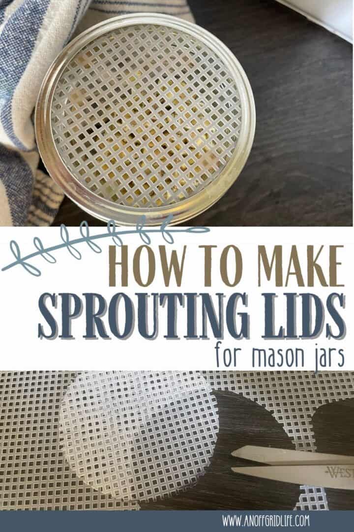 How to Make Sprouting Lids for Mason Jars text on image of jars.