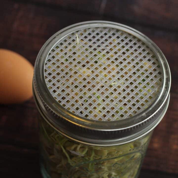  DIY Sprouting Lid.