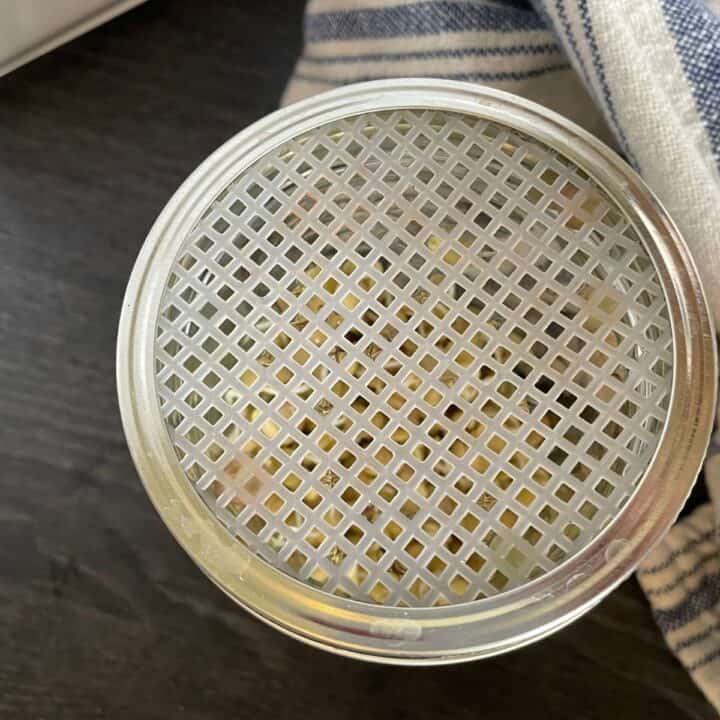 View of sprouts in sprouting jar with a DIY mesh sprouting lid.