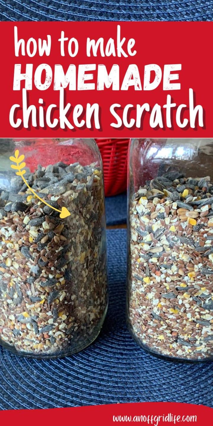 Two jars filled with mixed grain chicken feed, placed on a blue fabric surface with a red basket nearby, highlighted by a text guide on making homemade chicken scratch.