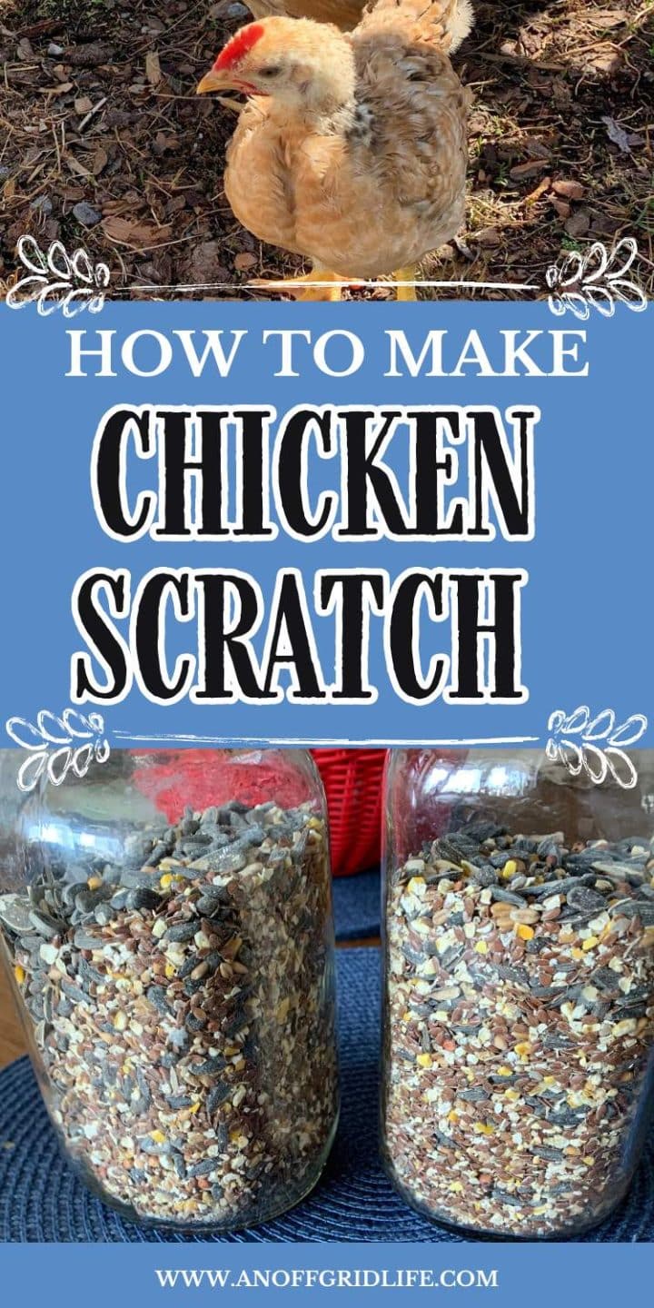 Infographic titled "how to make chicken scratch" featuring a chicken at the top and two jars filled with grains below.