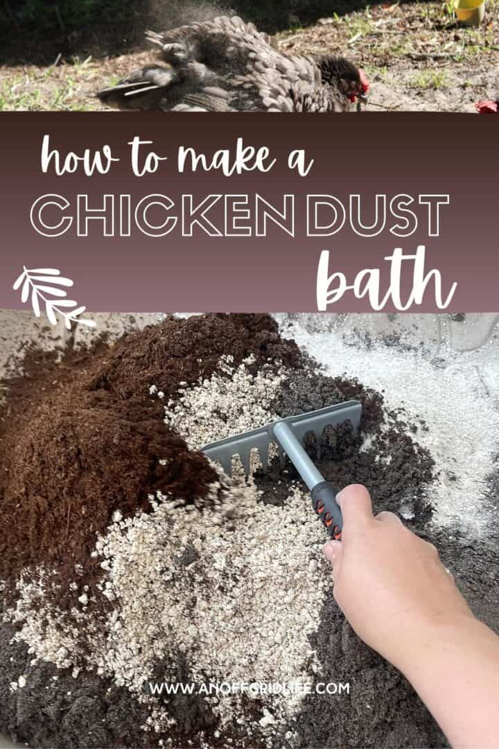 How to Make a Chicken Dust Bath