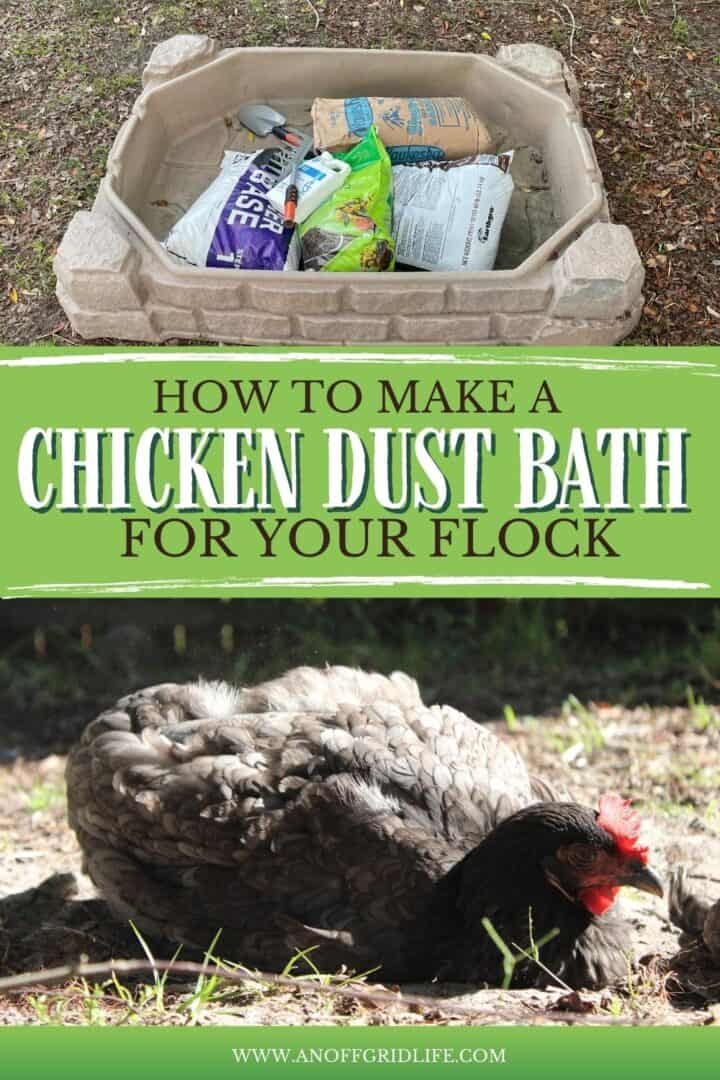 How to Make a Chicken Dust Bath