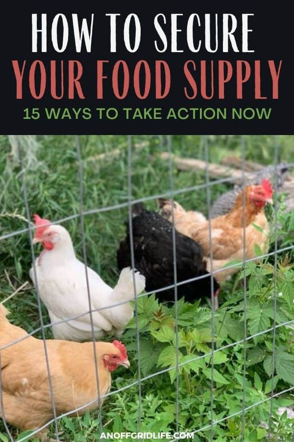 a pinterest image of four different chickens in an outdoor pen with text overlay "how to secure your food supply: 15 ways to take action now"