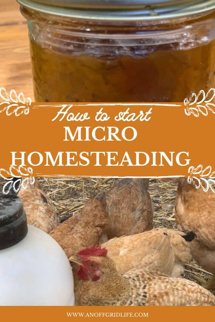Poster about starting micro-homesteading, featuring a chicken on hay, eggs, a jar of honey, and website details.