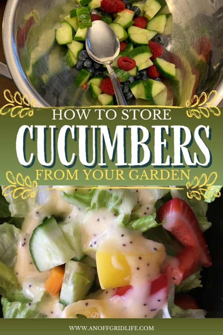 How to Store Cucumbers from the Garden