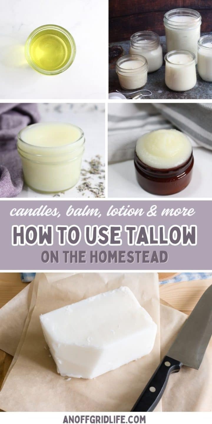 Collage of tallow products including candles, balm, and lotion, with text reading "How to Use Tallow on the Homestead.