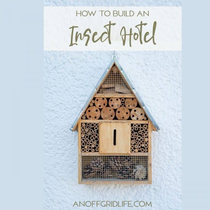 How to Build an Insect Hotel