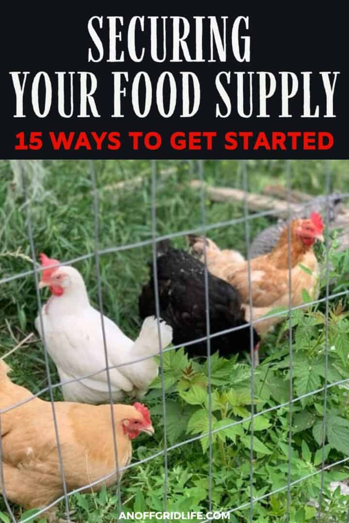 Securing your food supply: 15 ways to get started