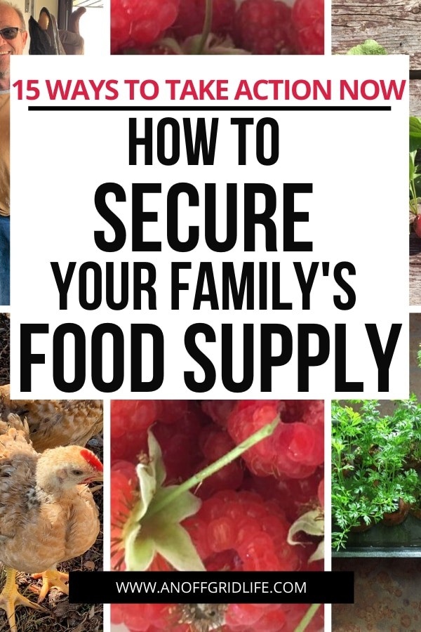Text overlay of How to Secure Your Family's Food Supply: 15 Actions to Take Now on a collage including meat chicken, man holding a fresh fish, homegrown radishes, raspberries, and herbs and home-baked cornbread.