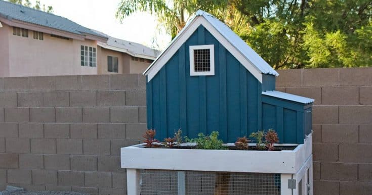 A red wooden shed with white trim sits beside a white wire enclosure in a grassy yard with trees, perfect inspiration for DIY chicken coops.