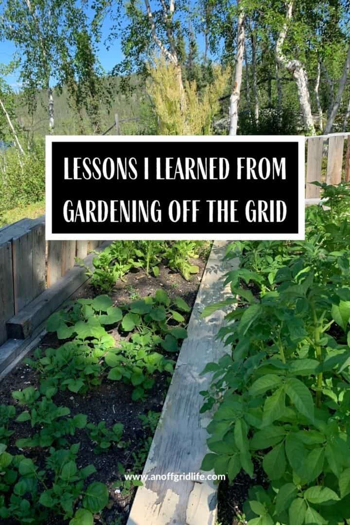 Lessons Learned Gardening Off The Grid