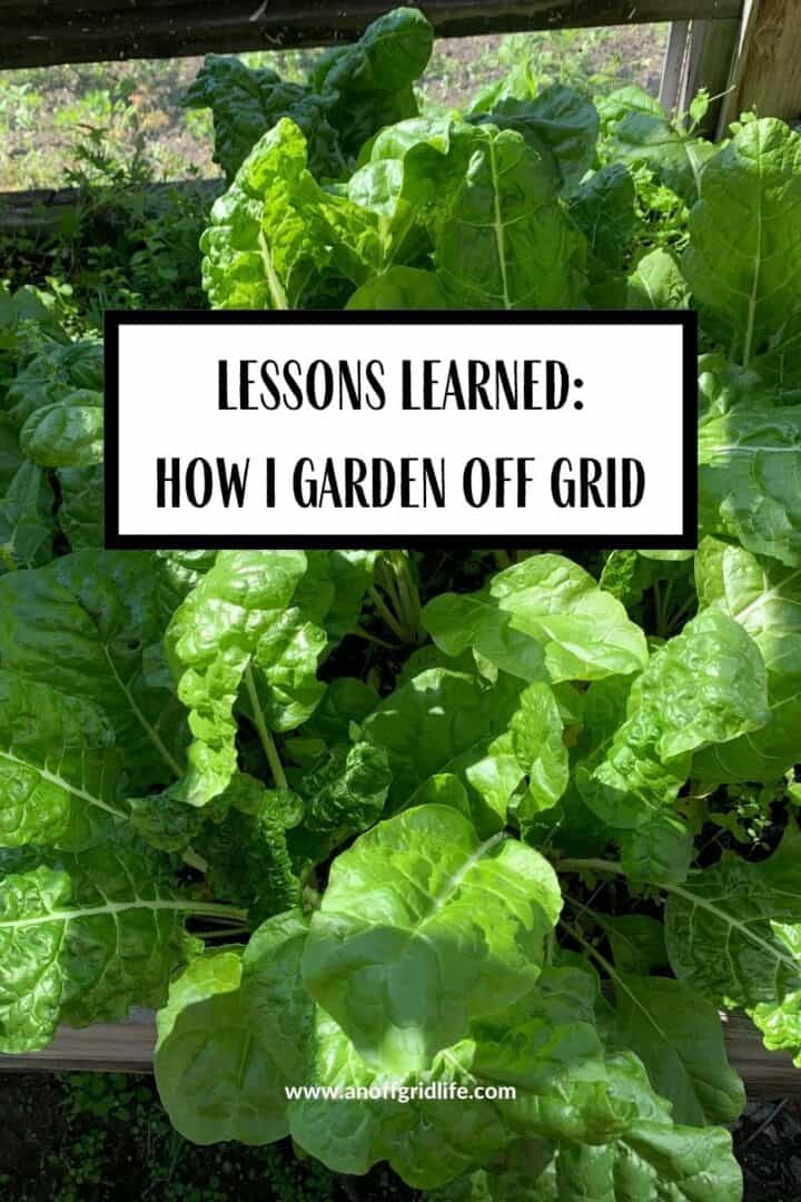 Lessons Learned: How I Garden Off the Grid