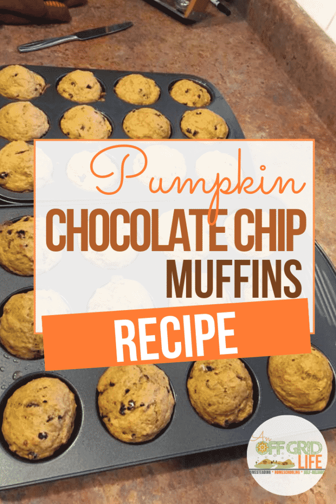 Pumpkin chocolate chip muffin recipe.