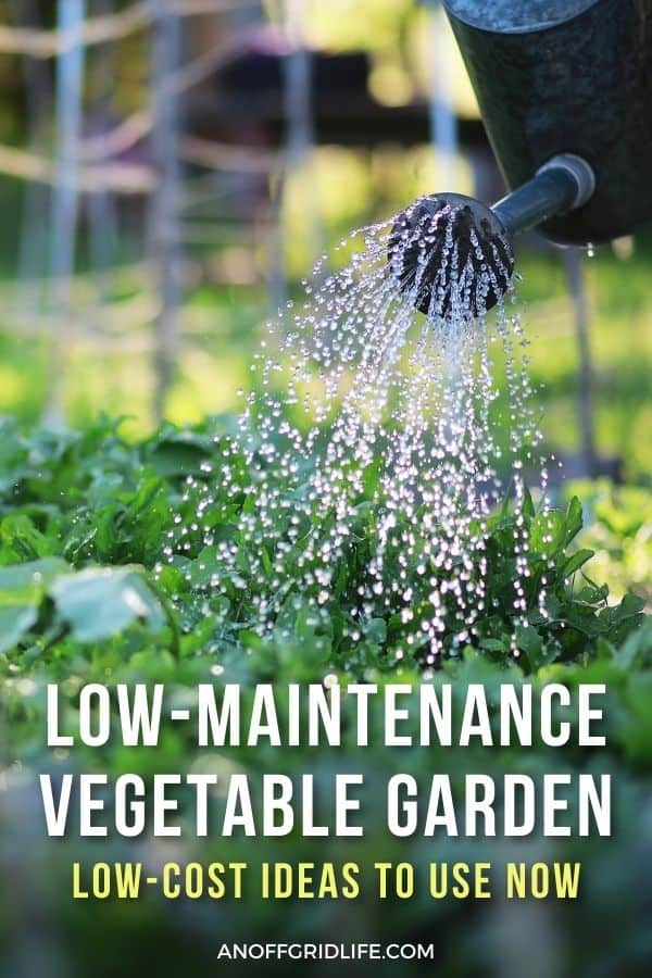 a pinterest imae of a watering can pouring water over a garden, text overlay "low-maintenance vegetable garden: low cost ideas to use now"