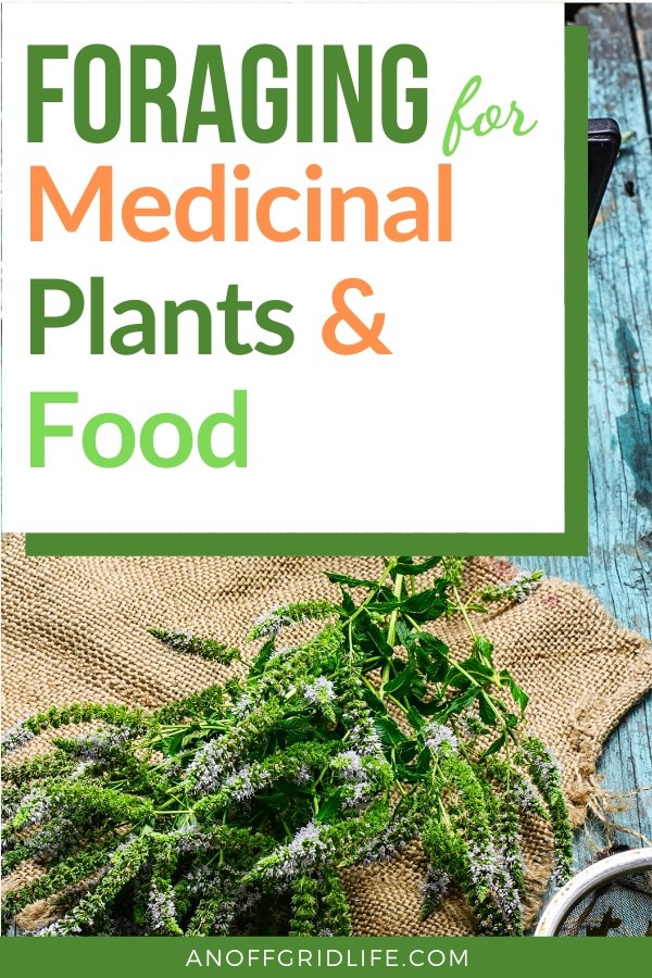 Text overlay on herb leaves on a burlap bag