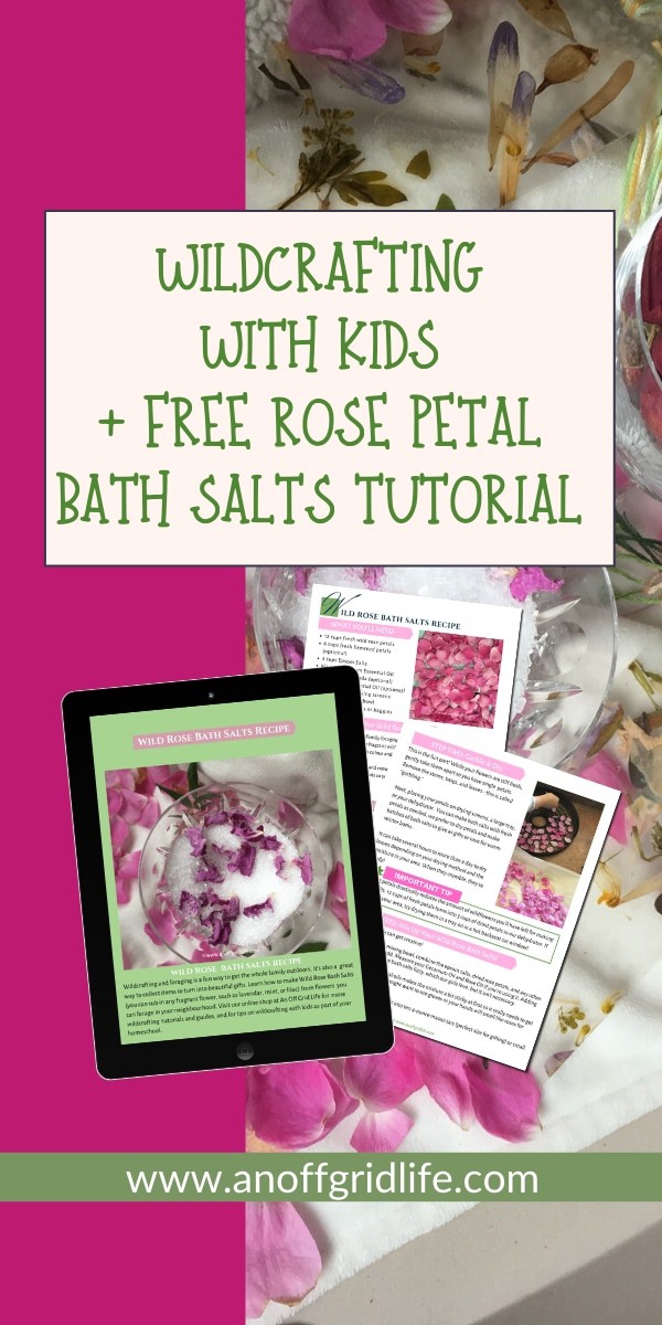 Rose petals and bath salts with text overlay
