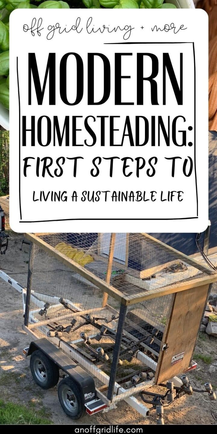 Modern homesteading first steps to living a spartanable life.