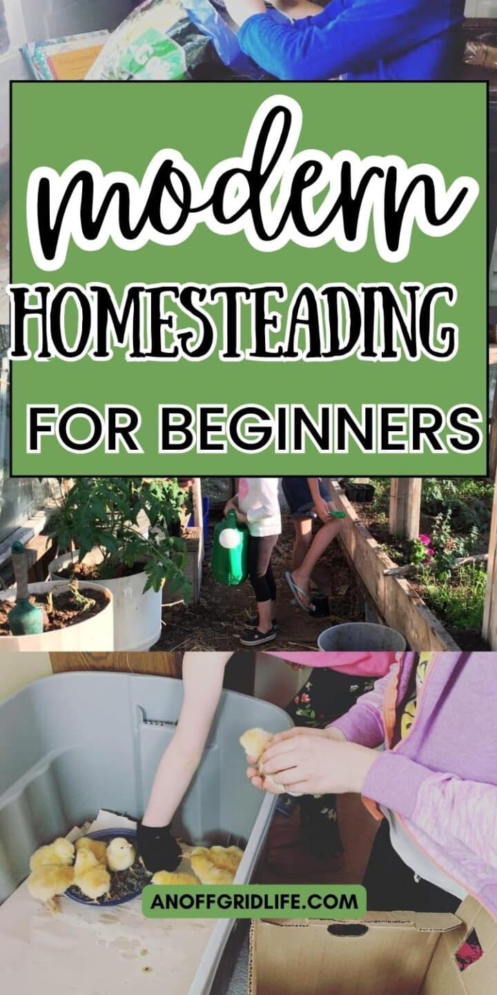Modern homesteading for beginners.