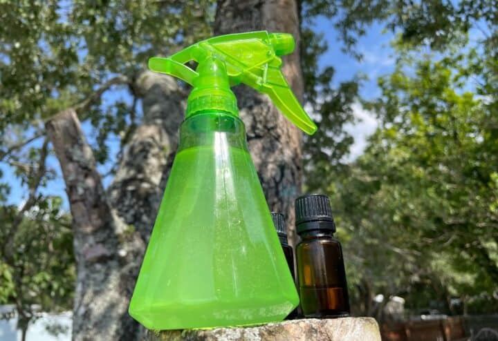 Natural DIY bug spray