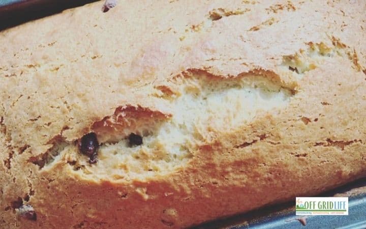 a picture of a banana chocolate chip bread loaf in a pan