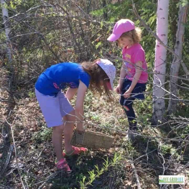 two young girls foraging in the woods