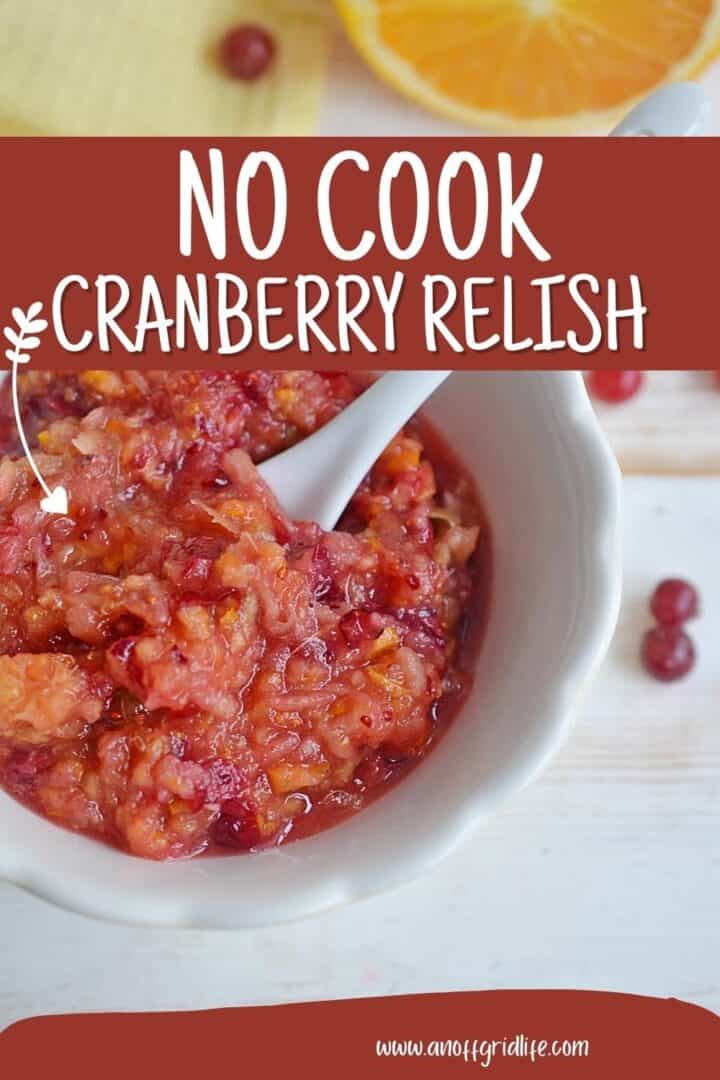No Cook Cranberry Relish Recipe