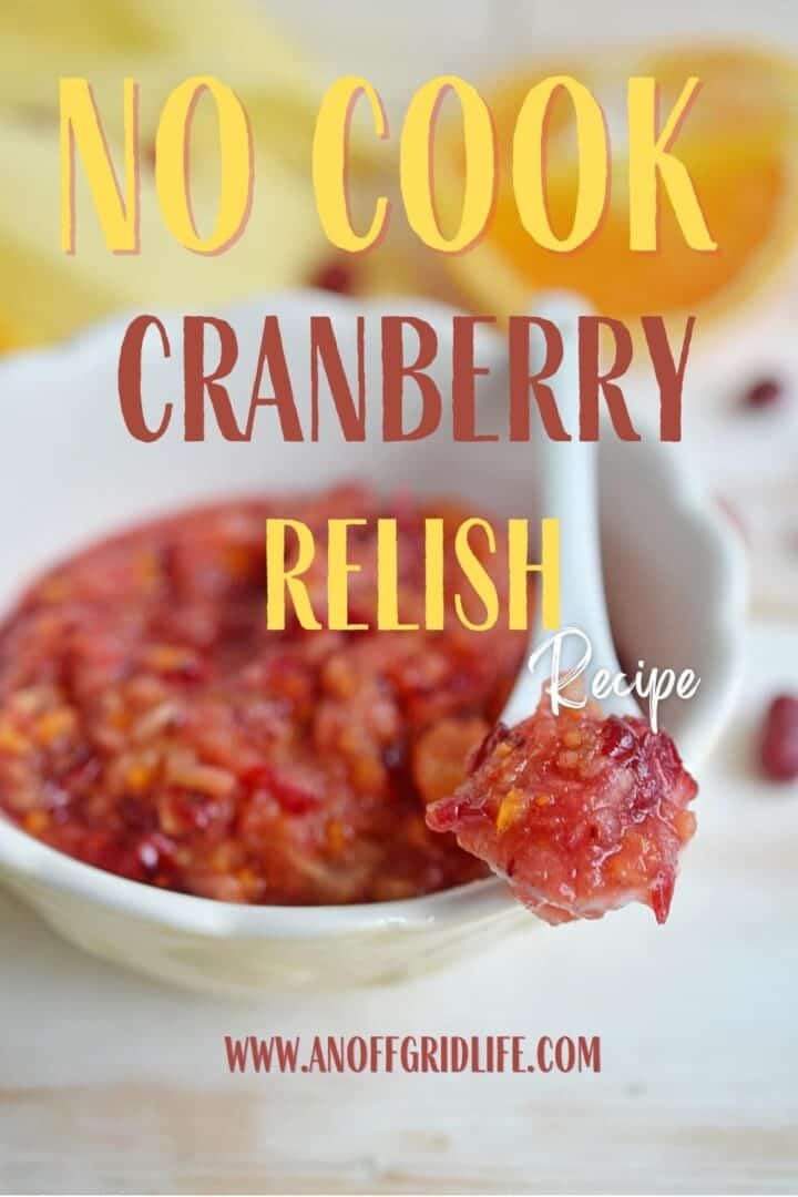 No Cook Cranberry Relish Recipe