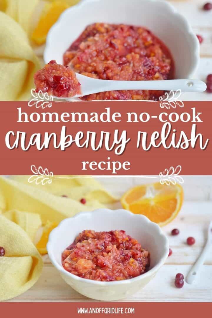 Homemade no cook cranberry relish recipe.