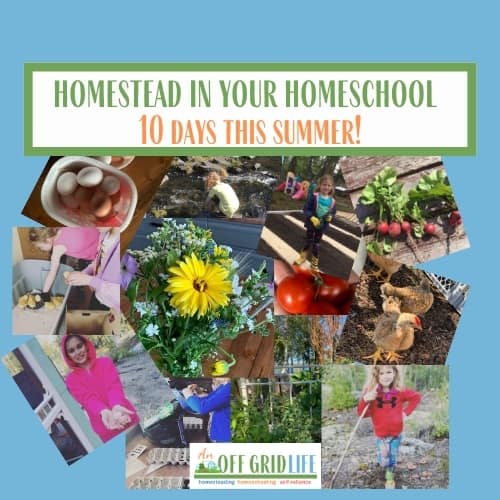 Homestead in Your Homeschool 10 Days This Summer!