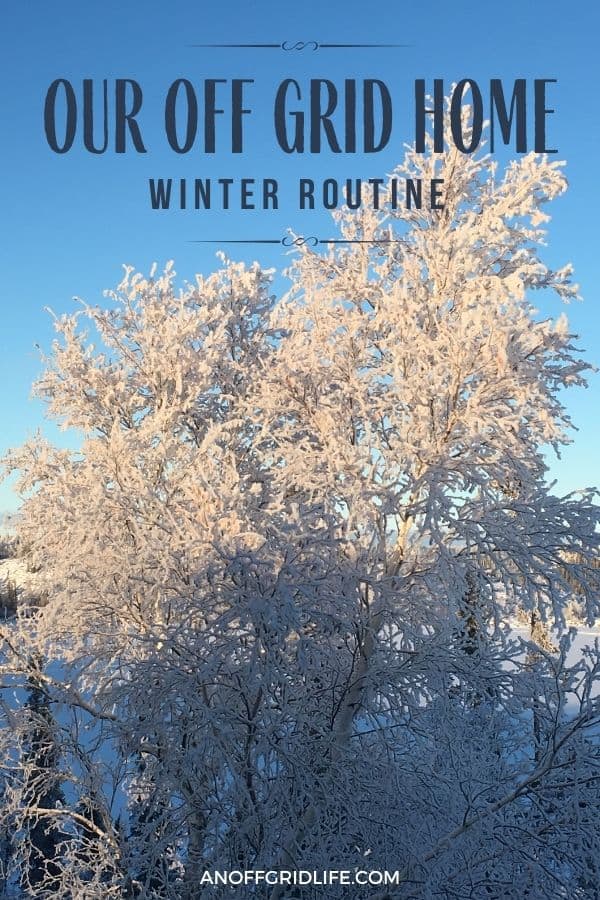 Our Off Grid Winter Home Routine text overlay on image of a tree covered in ice on a sunny winter day!