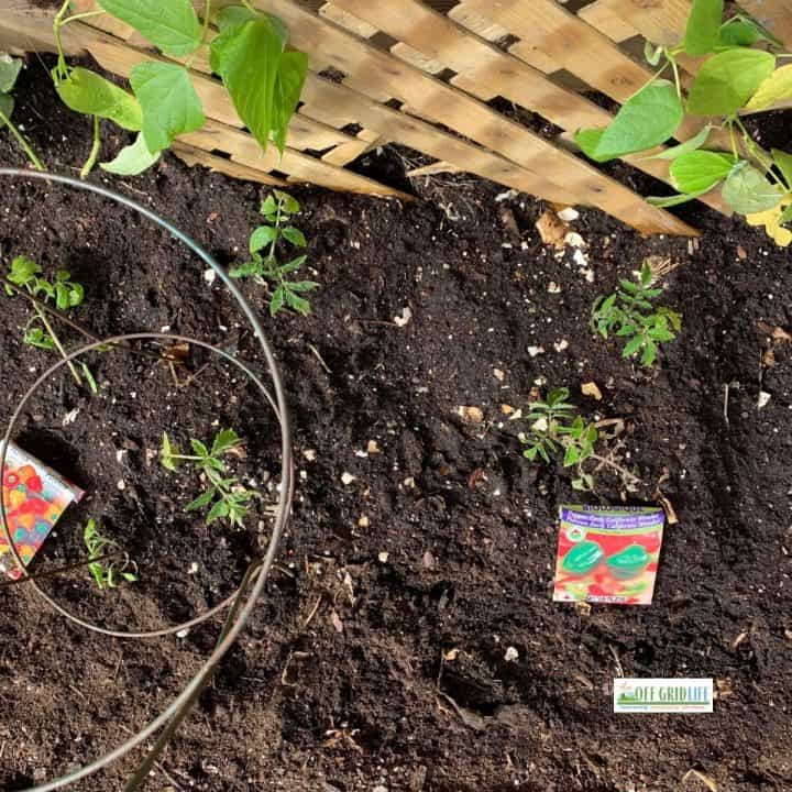 gardening as an off grid living preparation skill